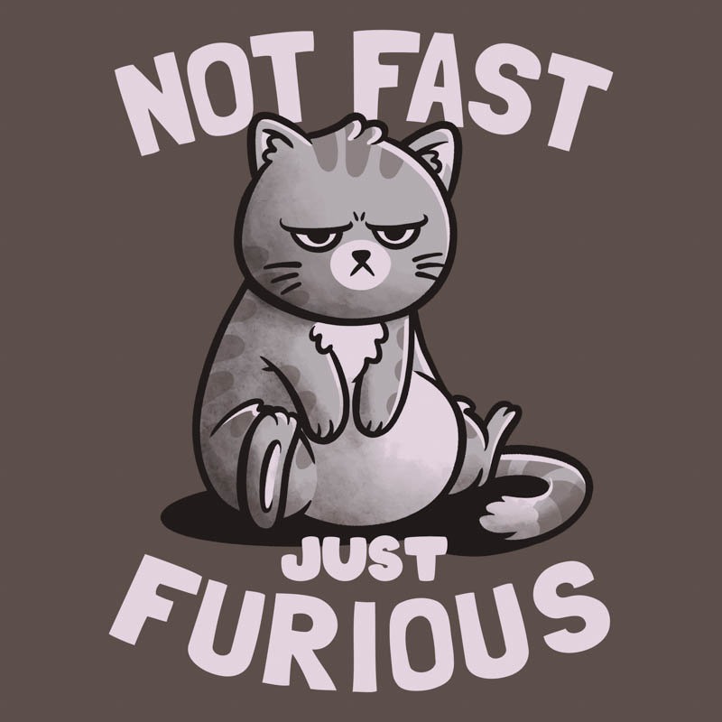 Not Fast Just Furious