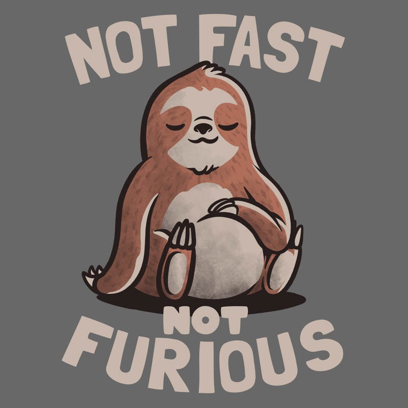 Not Fast Not Furious