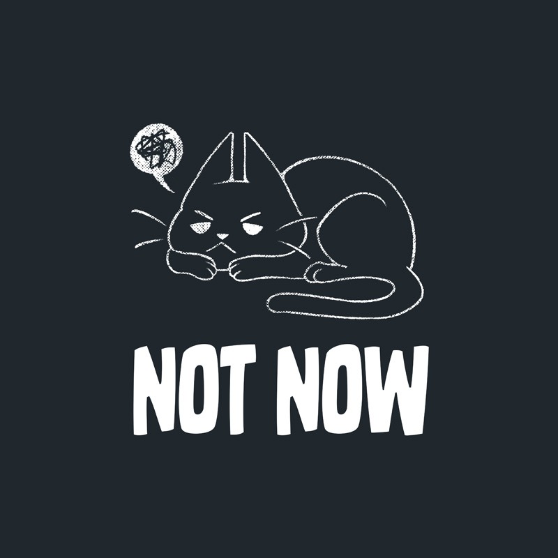 Not Now Cat