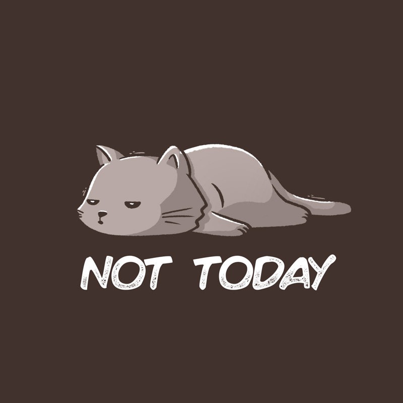 Not Today Cat