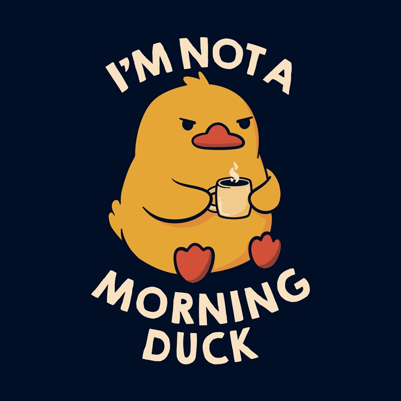 Not a Morning Duck