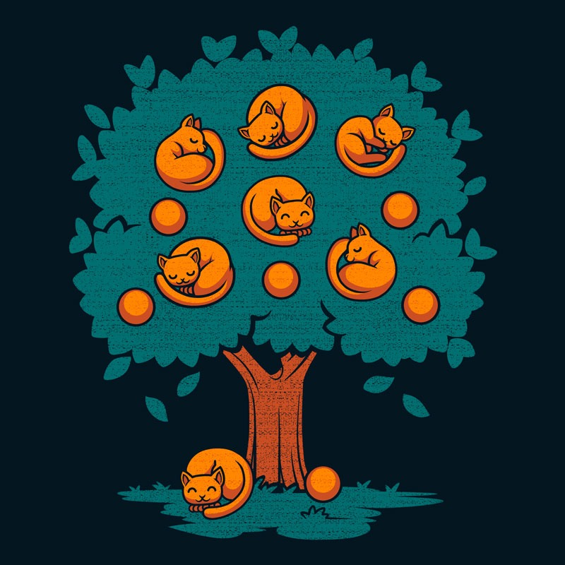 Orange Cat
