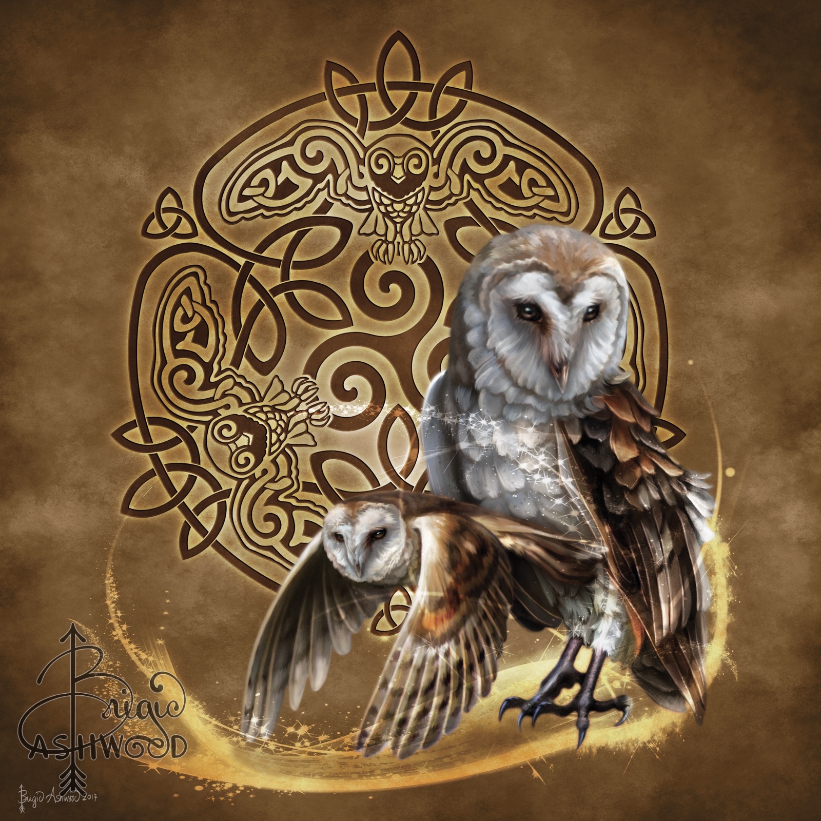 Celtic Wild: Owl