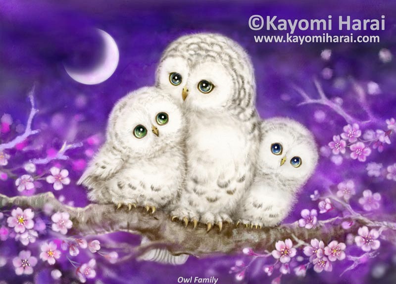 Owl Family