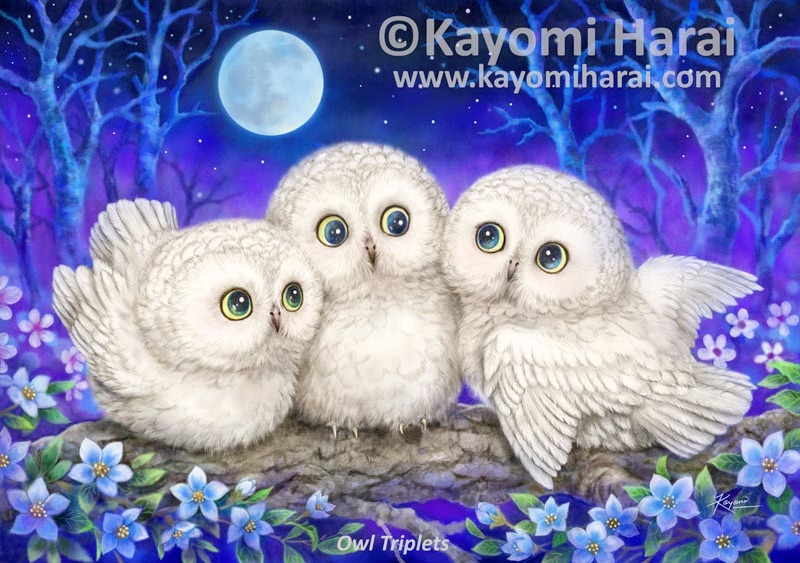 Owl Triplets