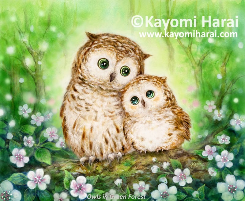 OwlsIn Green Forest