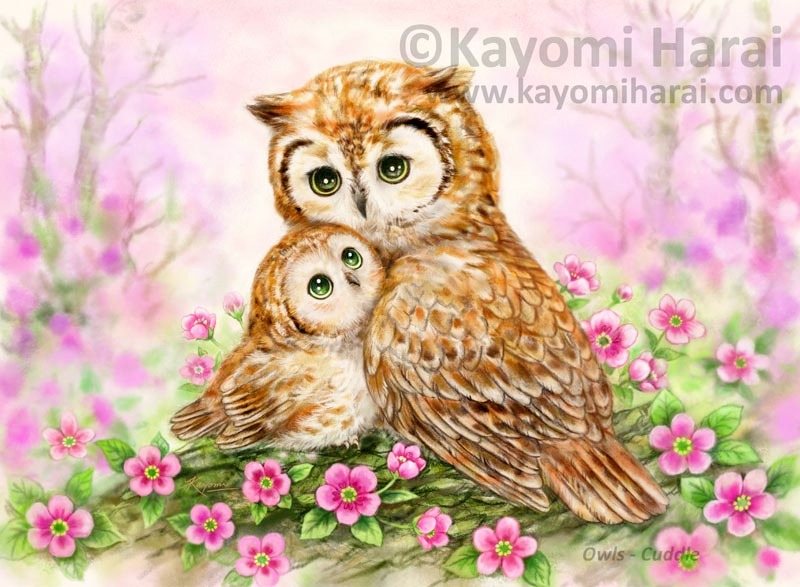 Owls Cuddle