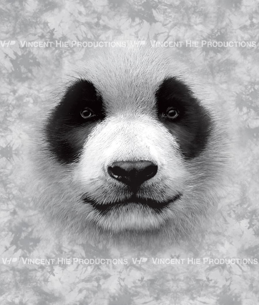 Panda Big Face