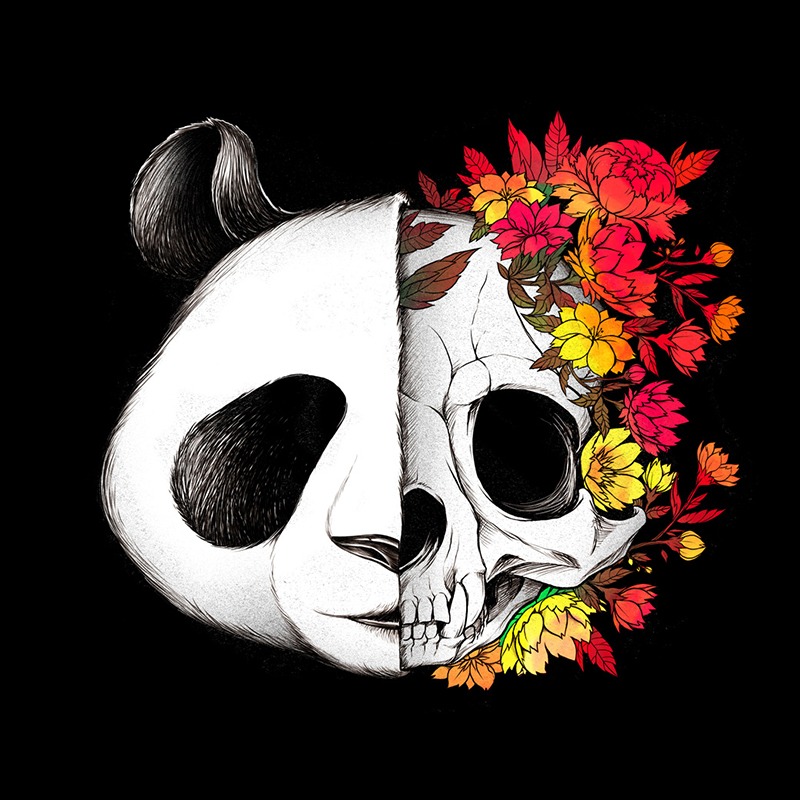 Panda Skull Rock