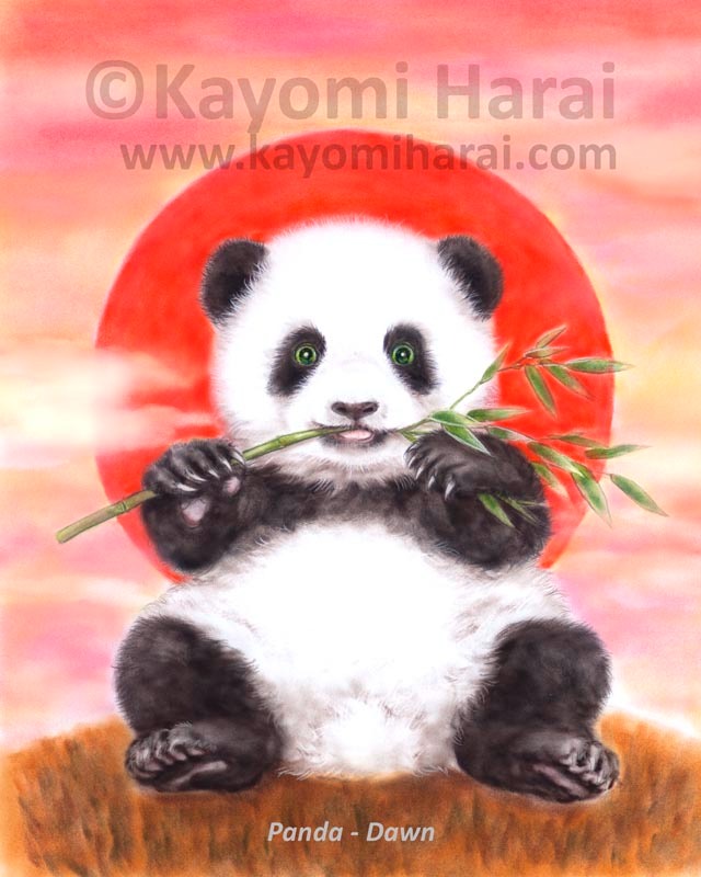 Panda Dawn