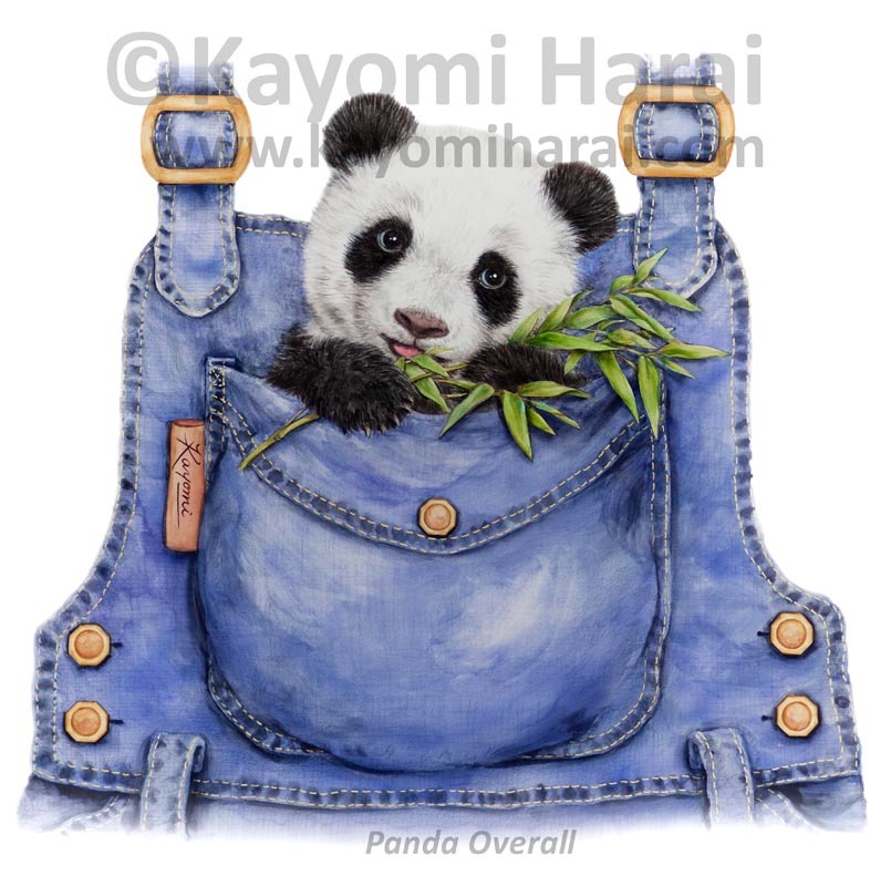 Panda Overall