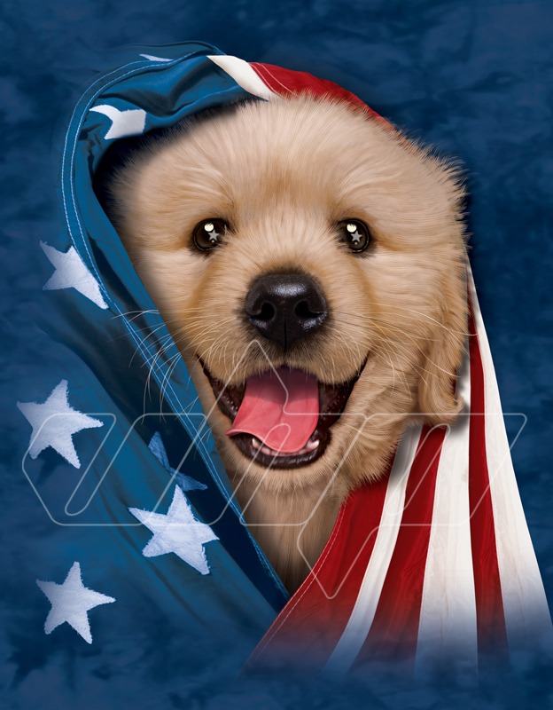 Patriotic Golden Retriever Puppy