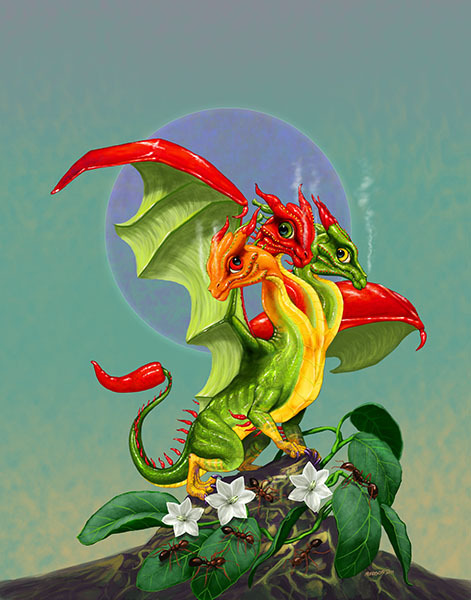 PEPPERS DRAGON