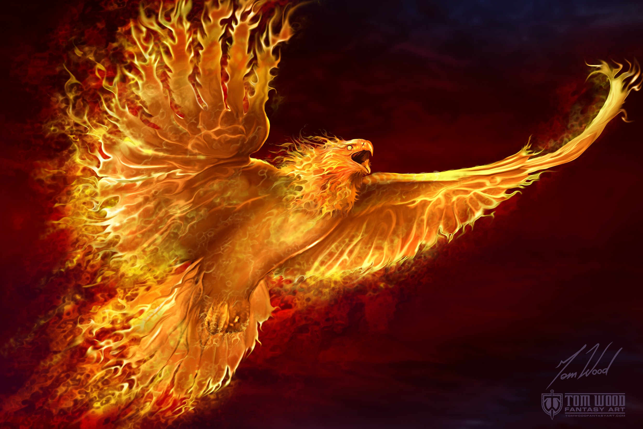 Phoenix Rising