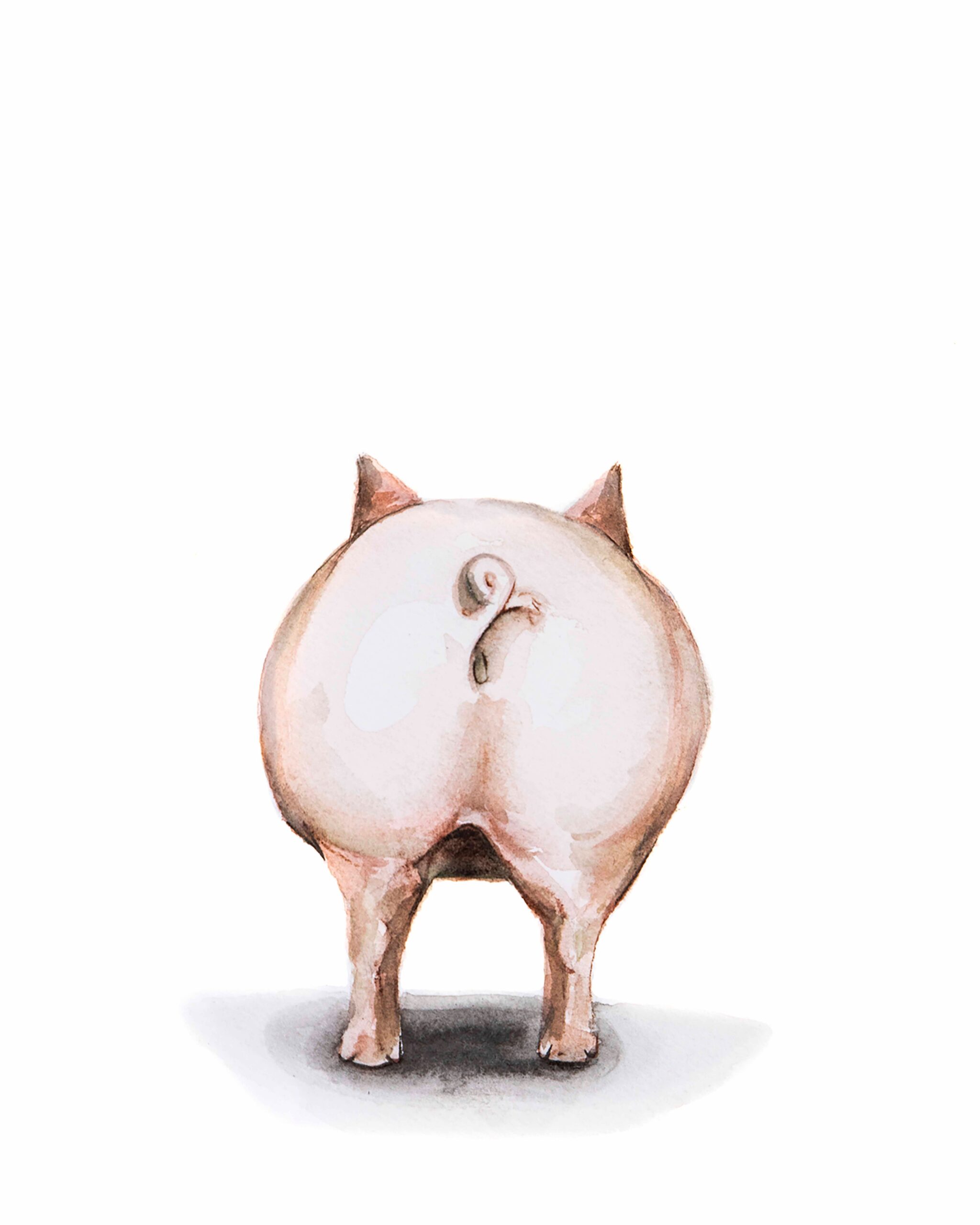 Pig Butt