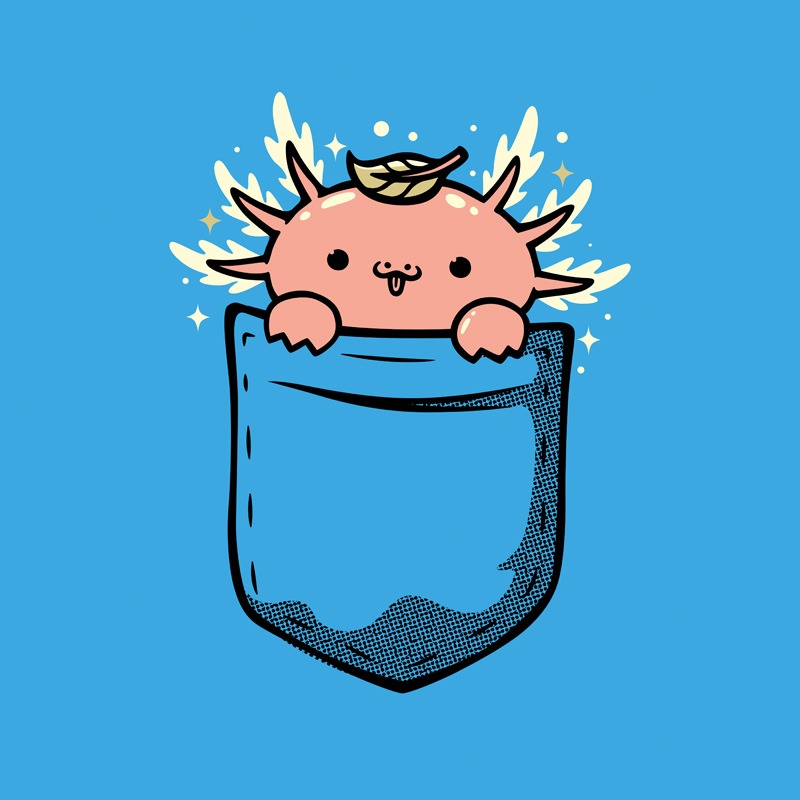 Pocket Axlotl