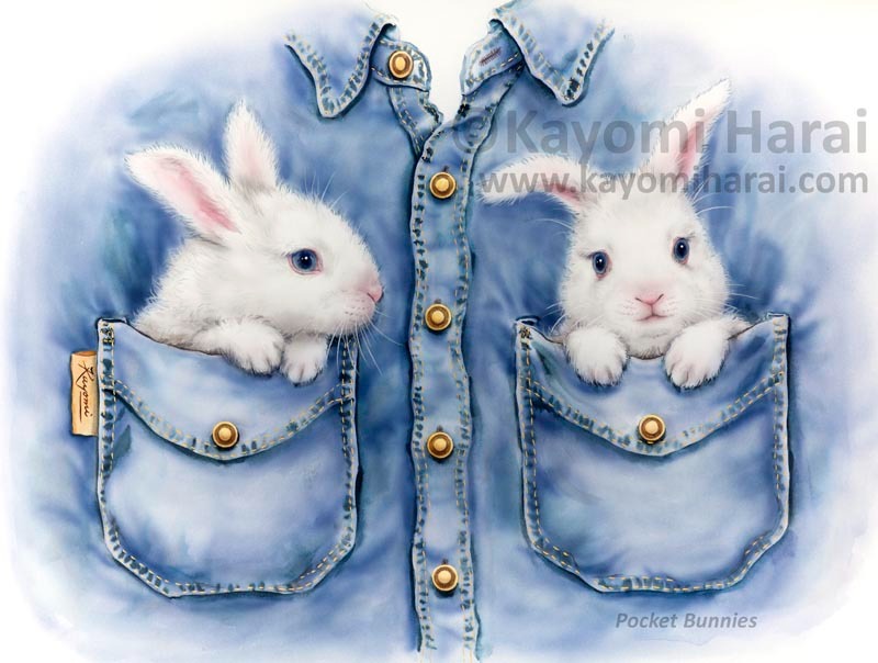 Pocket Bunnies