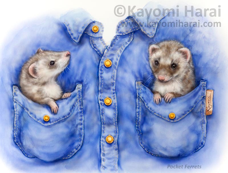 Pocket Ferrets
