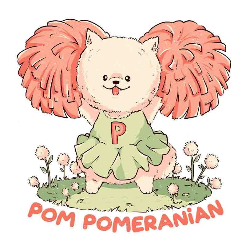 Pom Pomeranian