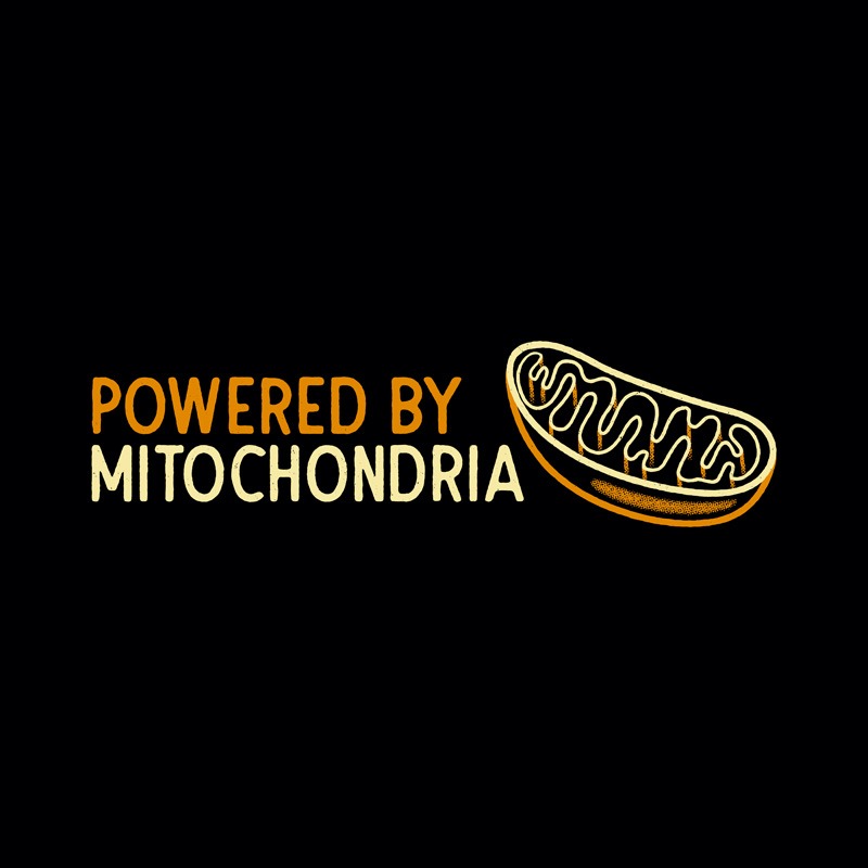 Powered By Mitochondria