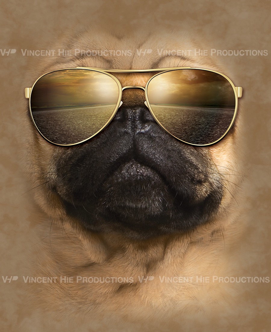 Pug Sunglasses Big Face