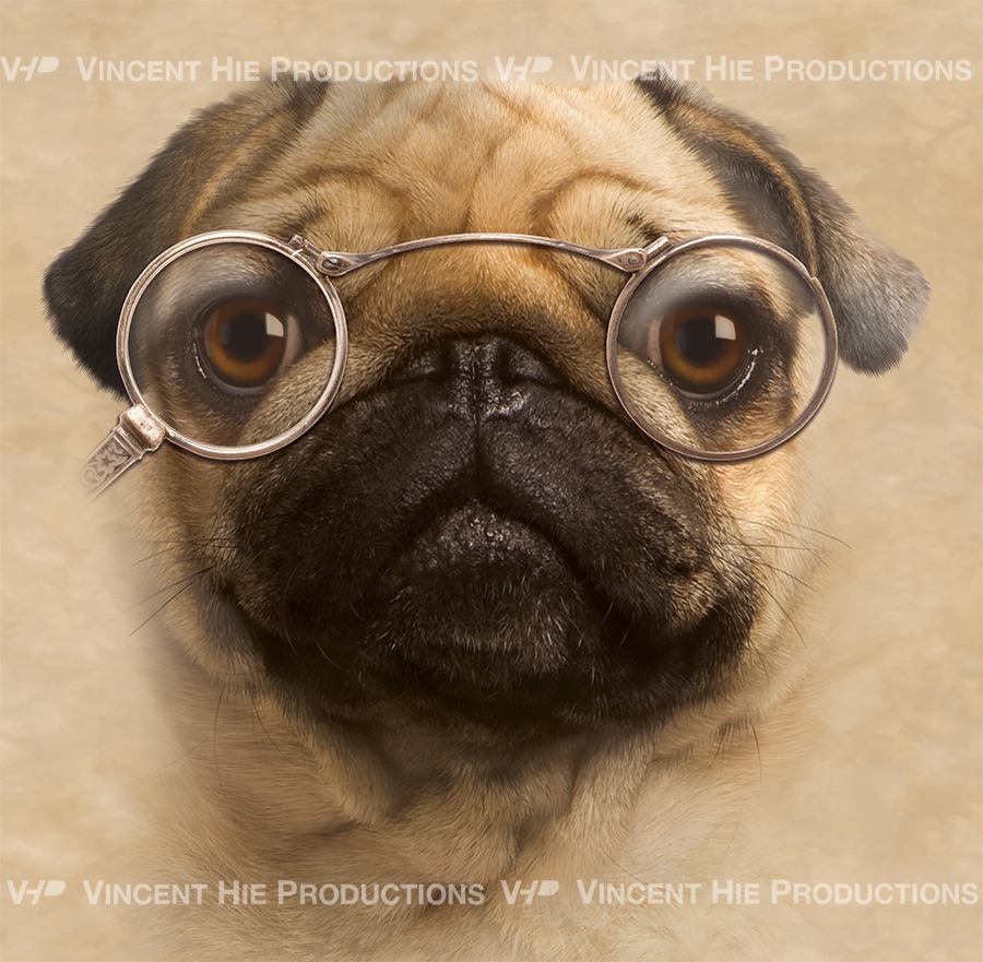 Pug Vintage Glasses Big Face