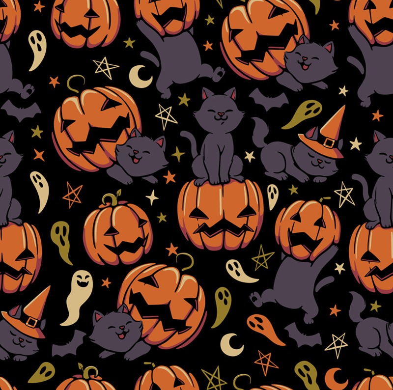 Pumpkin Field Black Cat Autumn Halloween
