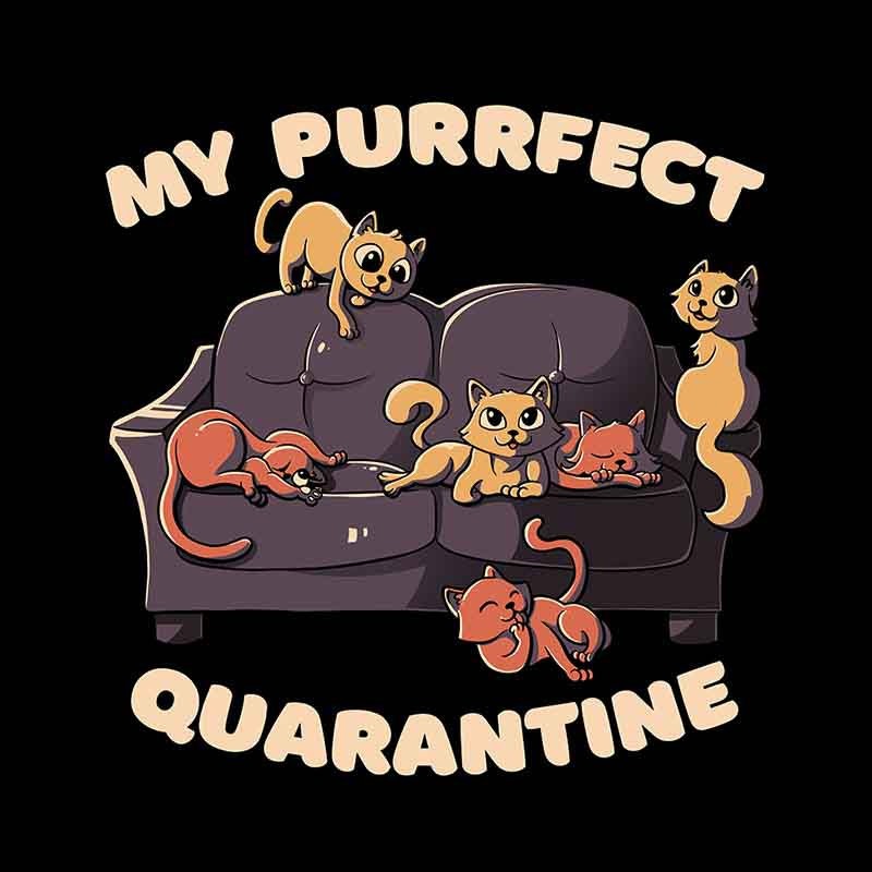 Purrfect Quarantine