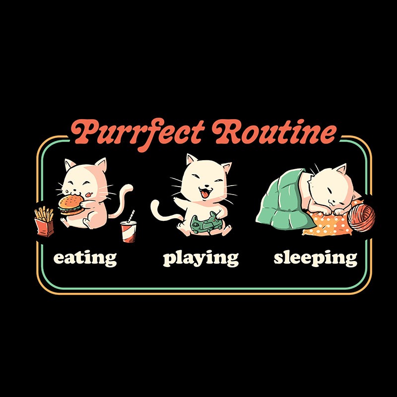 Purrfect Routine