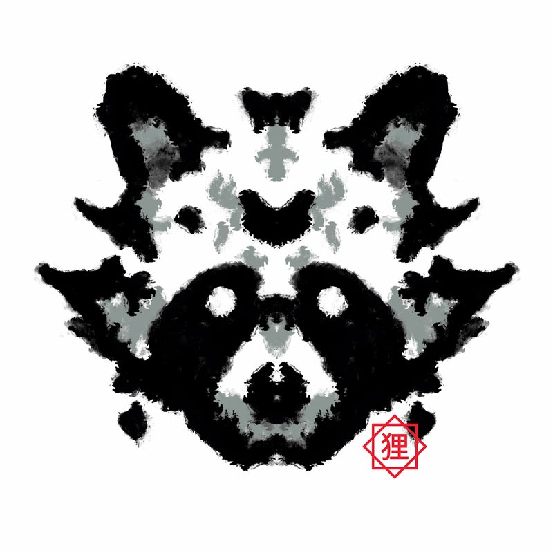 Raccoon Rorschach Test