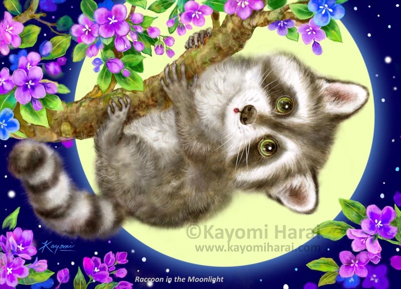 Raccoon In The Moon light