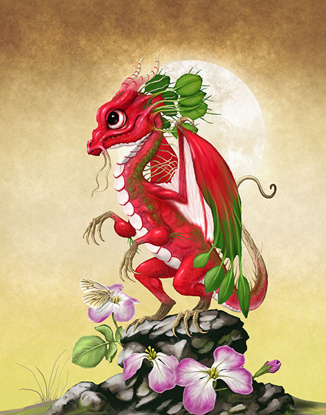 RADISH DRAGON