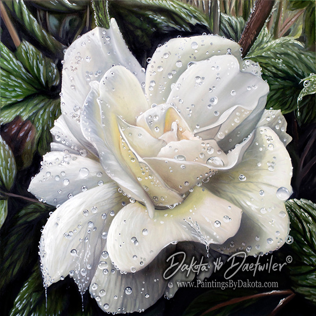 Rainy Rose