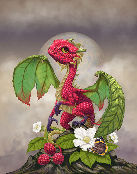 RASPBERRY DRAGON
