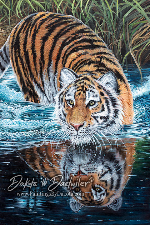 Reflections