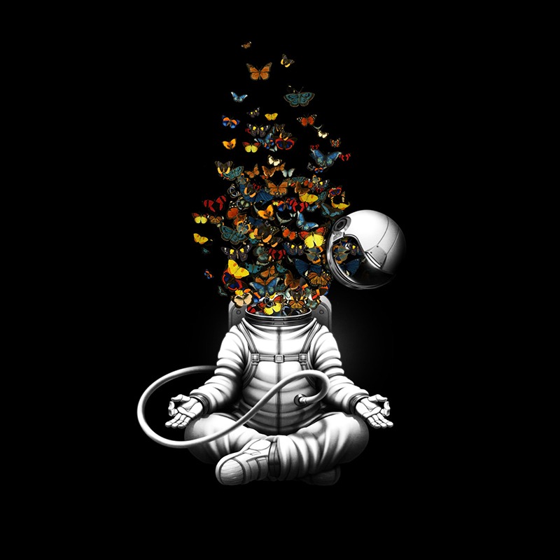 Release – Meditation Butterfly Collage
