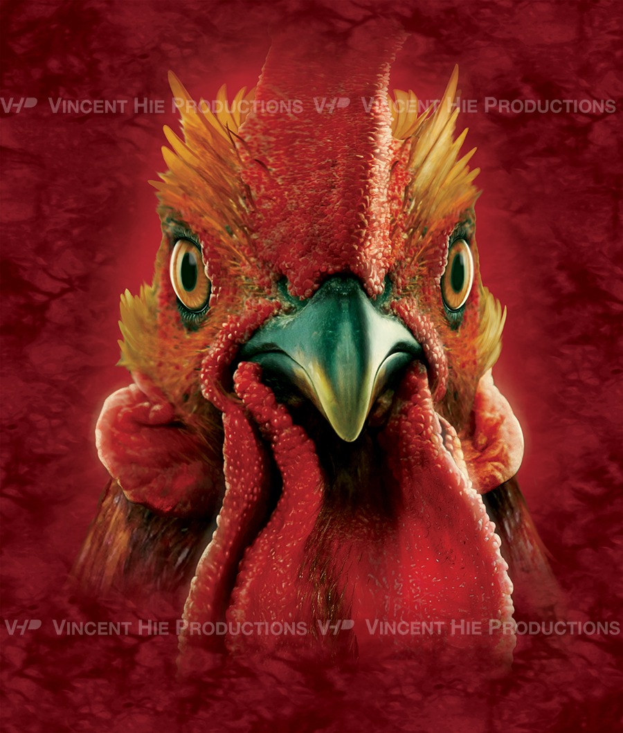 Rooster Big Face