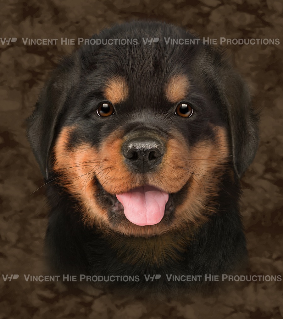Rottweiler Puppy Smile Big Face