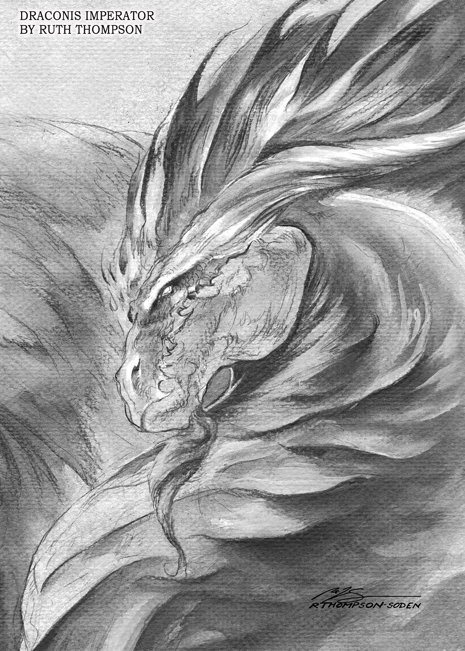 Draconis Imperator Dragon