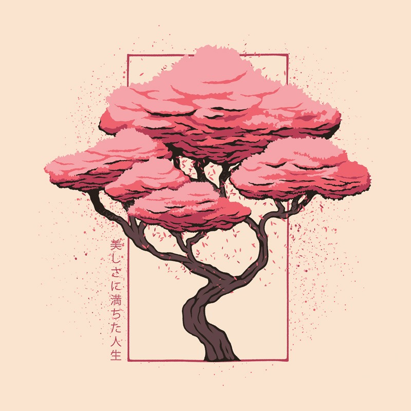 Sakura Blossom