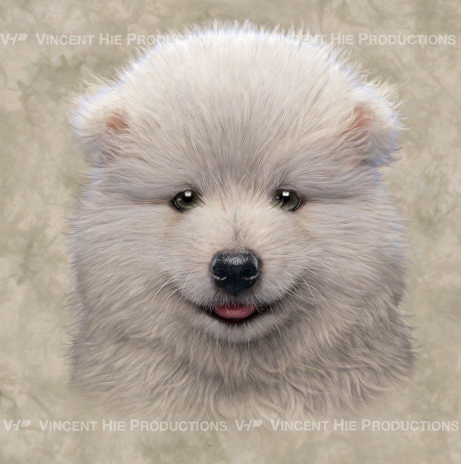 Samoyed Puppy Big Face