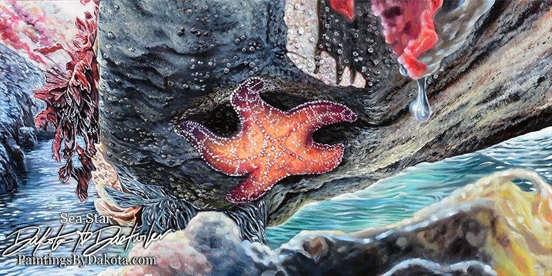 Sea Star