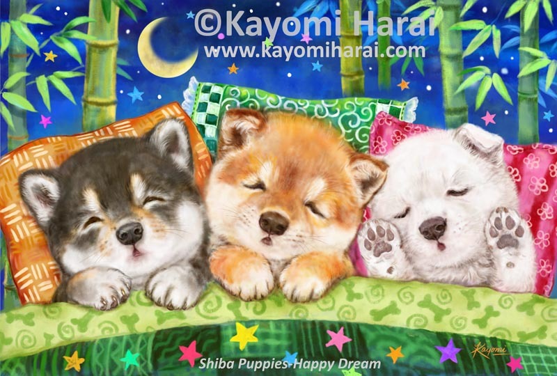 Shiba Puppies Happy Dream