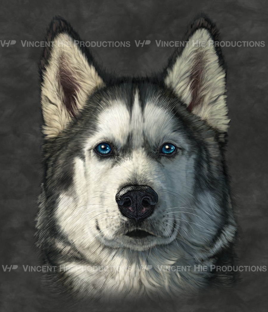 Siberian Husky 2 Big Face