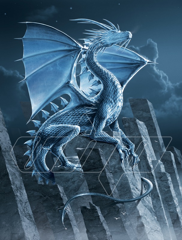Silver Dragon
