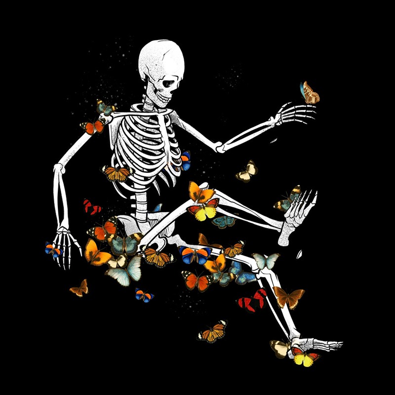Skeleton Flowting on Space Butterflies