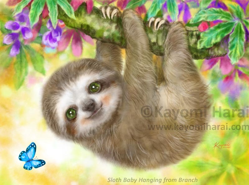 Sloth Baby Hanging From Branch
