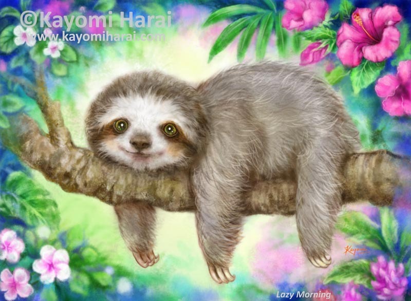 Sloth Lazy Morning