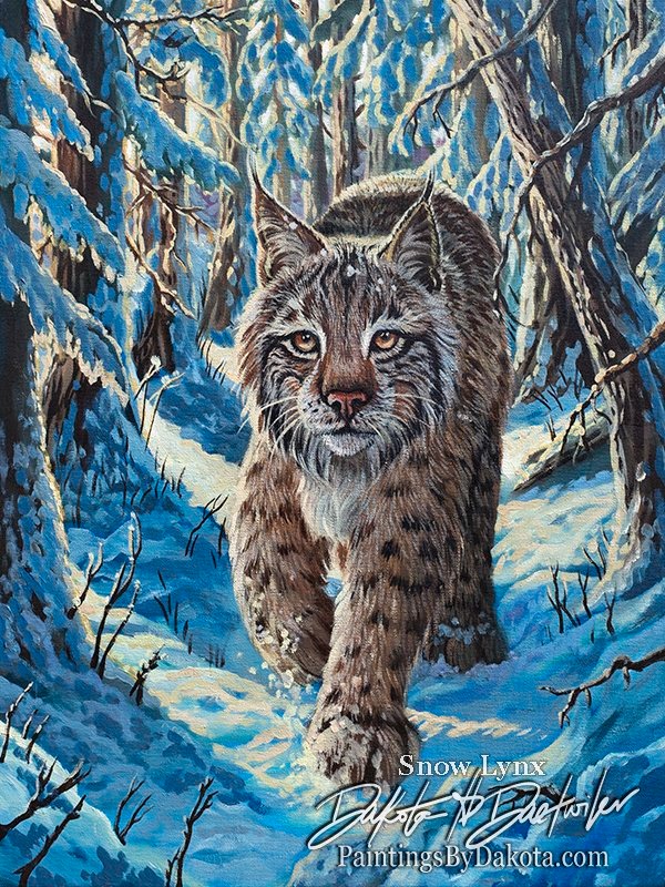 Snow Lynx