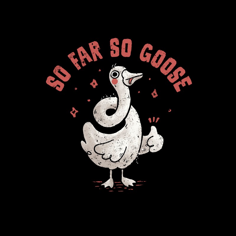 So Far So Goose